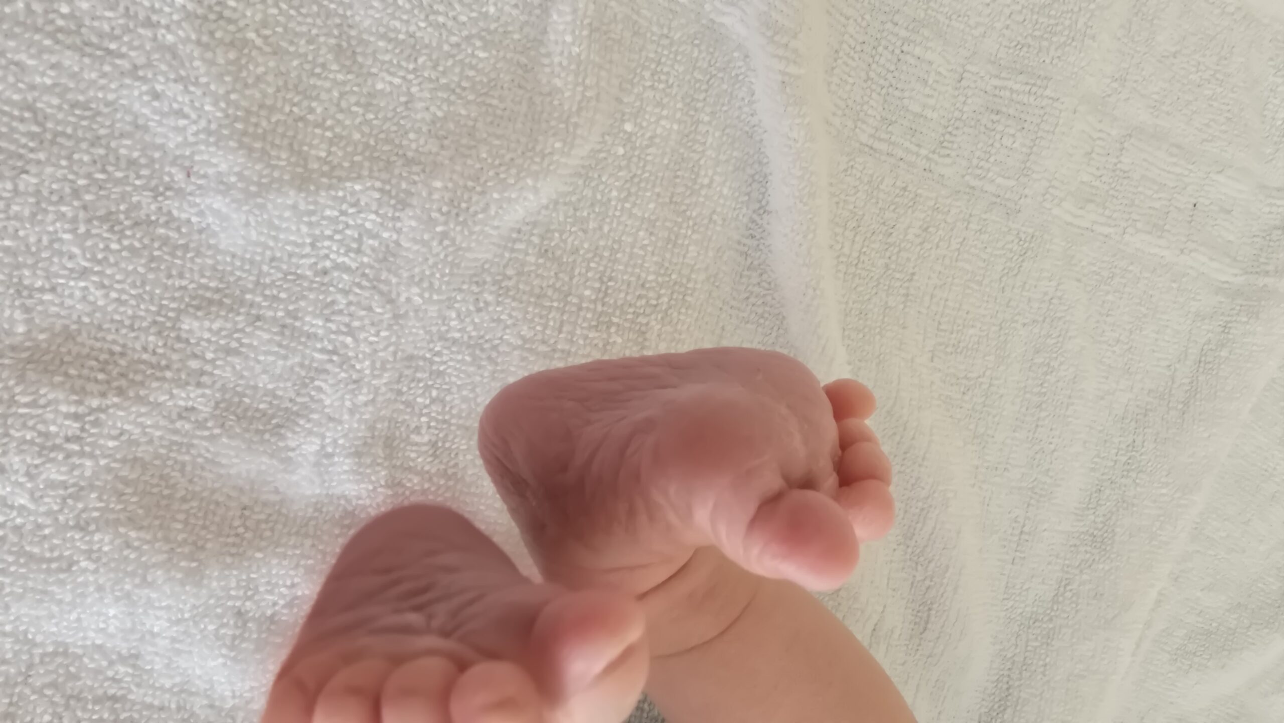 Mehr über den Artikel erfahren Kleine Babypause